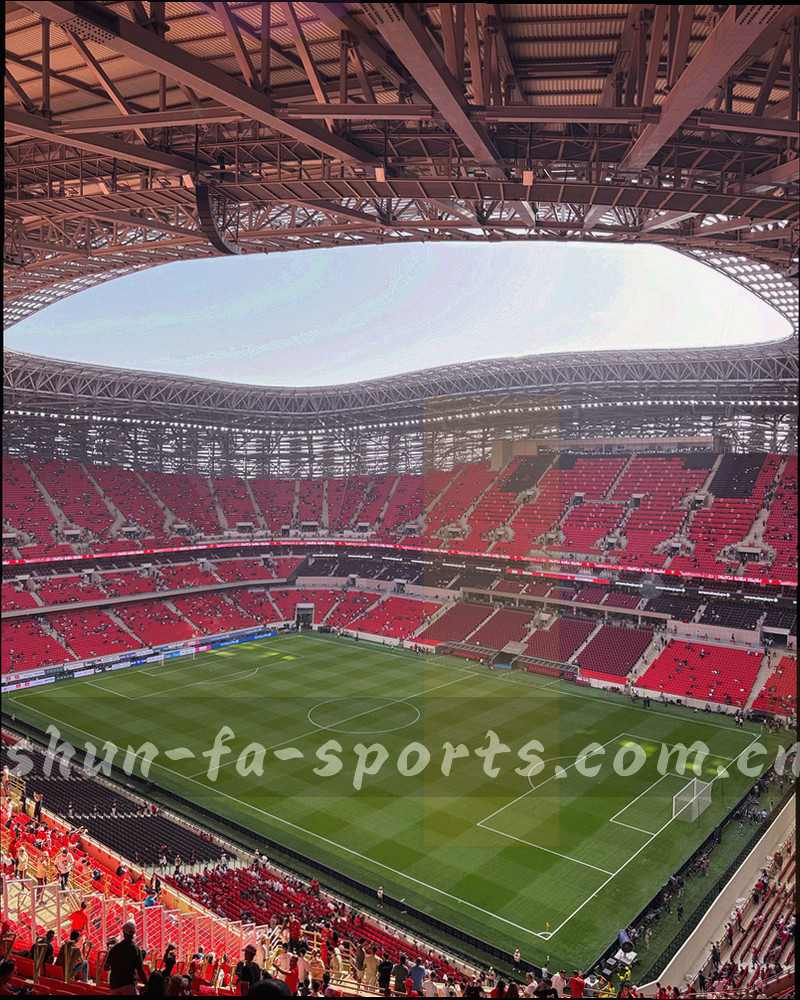 赛场边线与看台线条构成的竖向几何切割画面